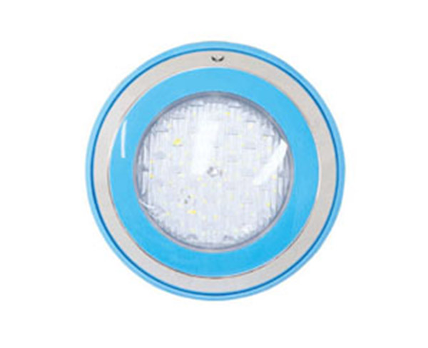 掛壁燈-LED泳池不銹鋼掛壁燈 ALE10 10W 12V